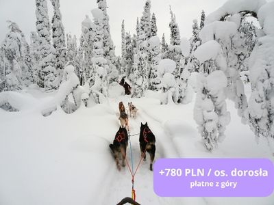 kulig-atrakcja-podrozy-szytej-na-miarę