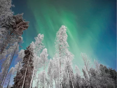 Zdjecia WWW atrakcje 400x3002 1