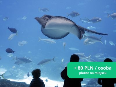 Oceanarium-Lofotakvariet