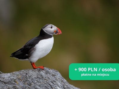 safari-polnocna-europa-podroz-szyta-na-miarę