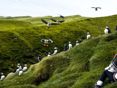 atrakcja podczas wycieczki na Wyspy Owcze