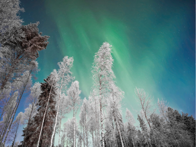 zorza-polarna-atrakcja-laponii