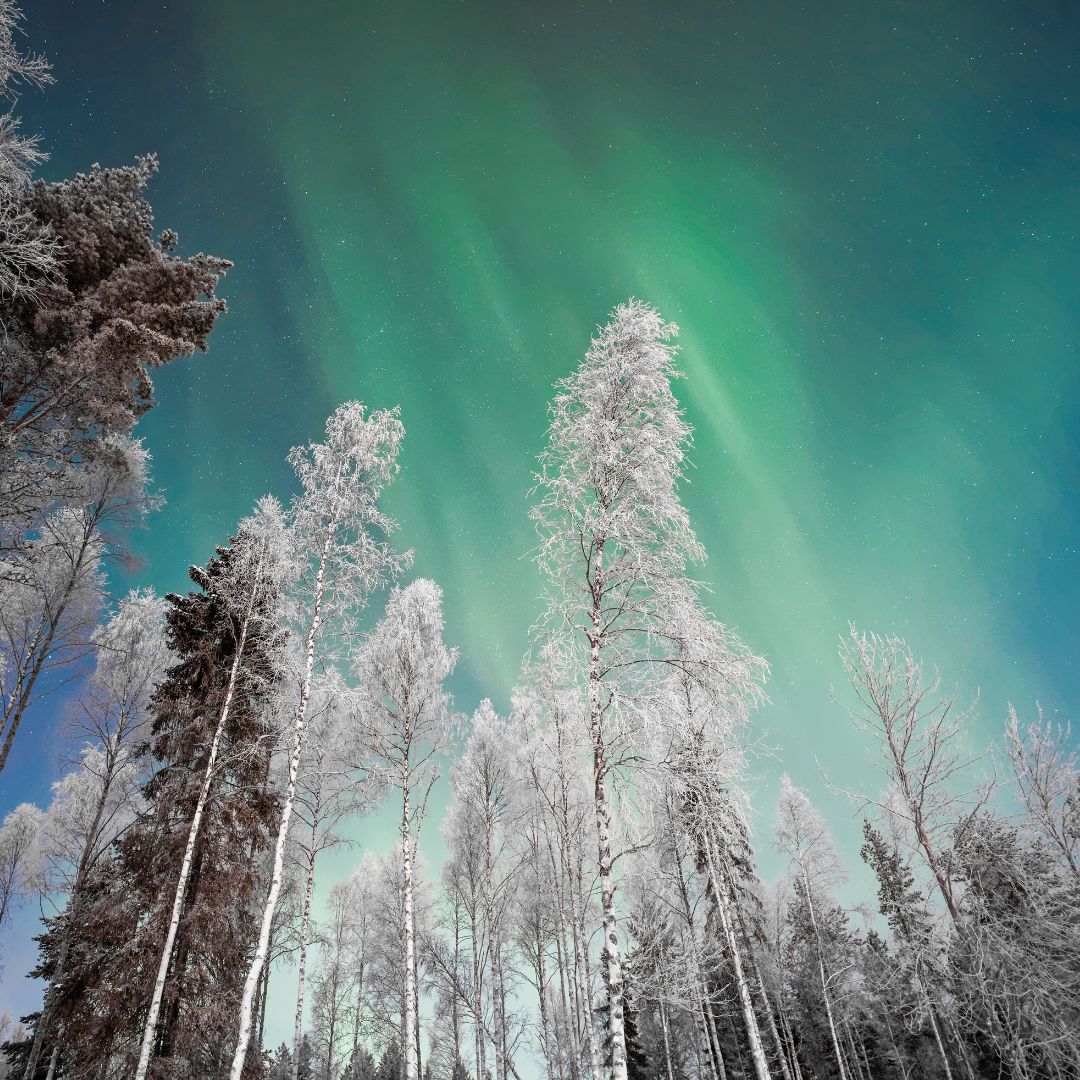 zorza-polarna-laponia