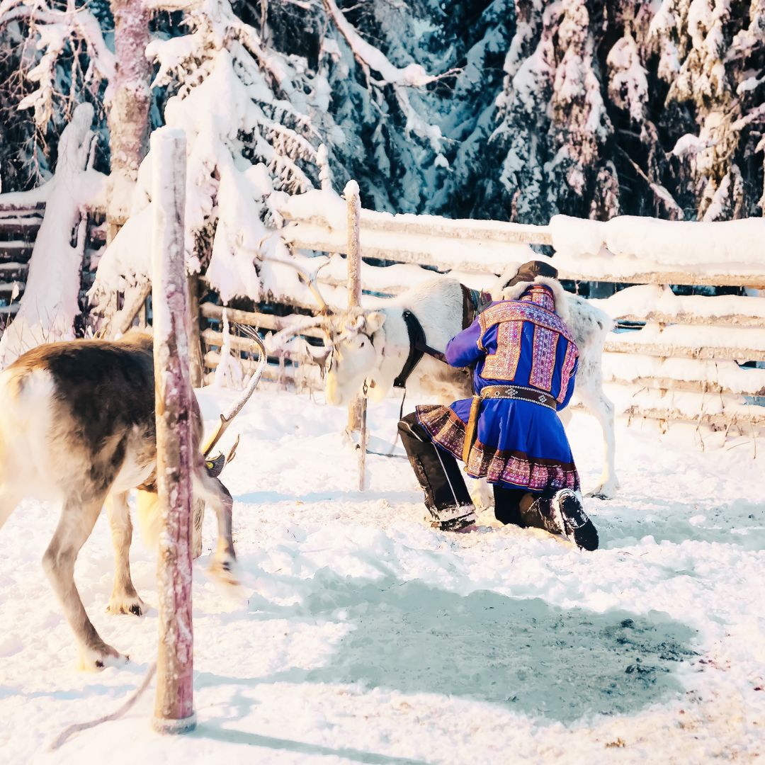 kultura-samow-laponia