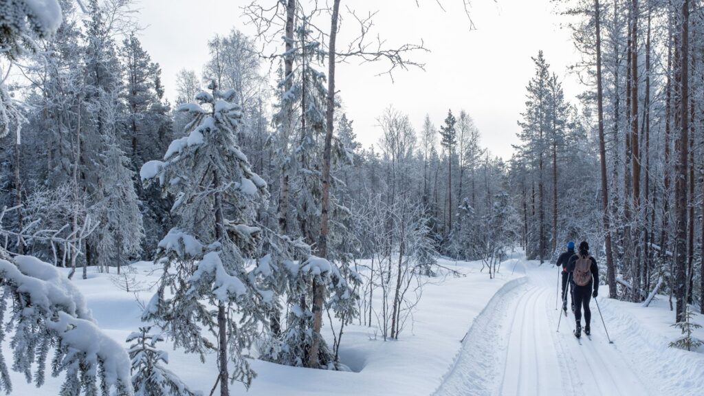 narciarstwo-atrakca-w-norwegii-zima