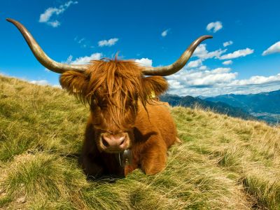 Szkocja-co warto zobaczyć